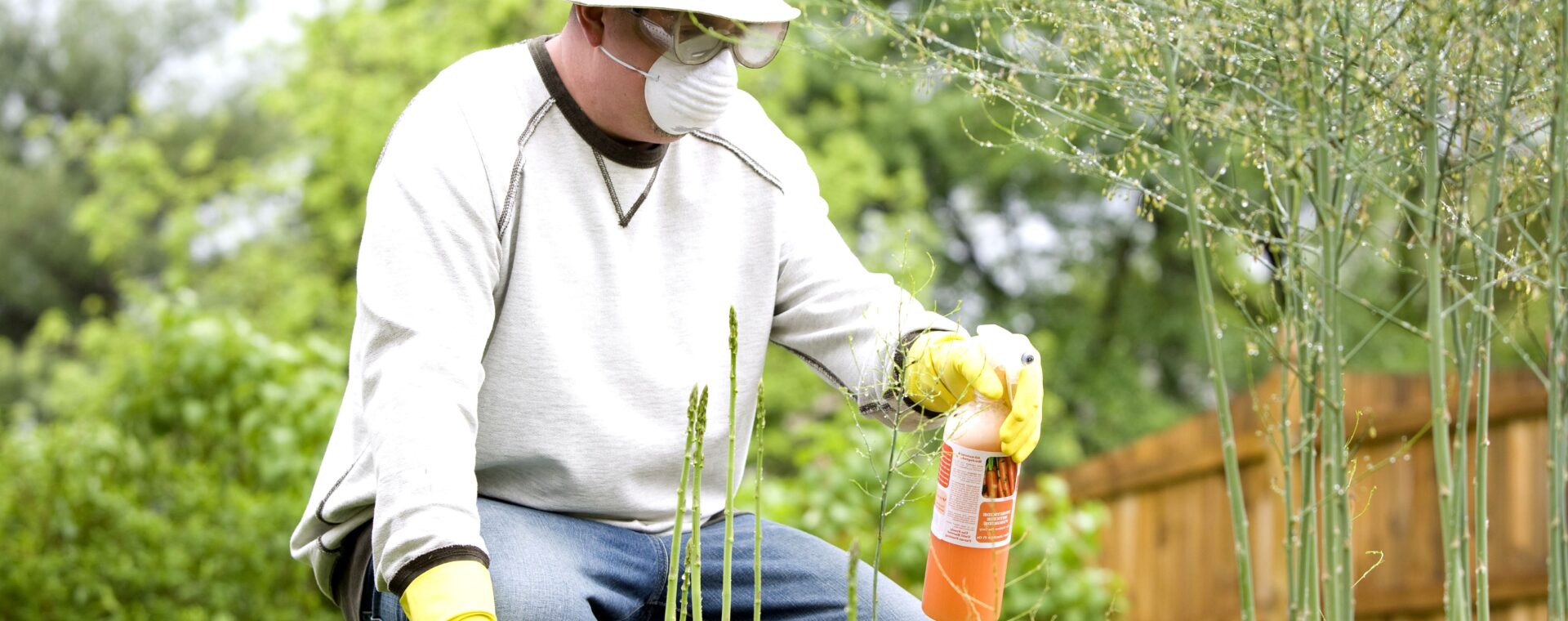 I pesticidi: perché evitarli?